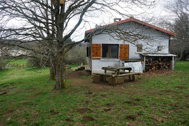Une image contenant plein air, herbe, arbre, plante

Description gnre automatiquement